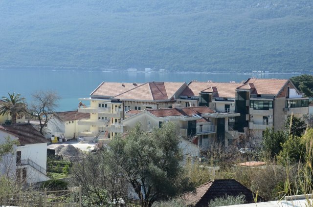 Krov kompleksa Palma